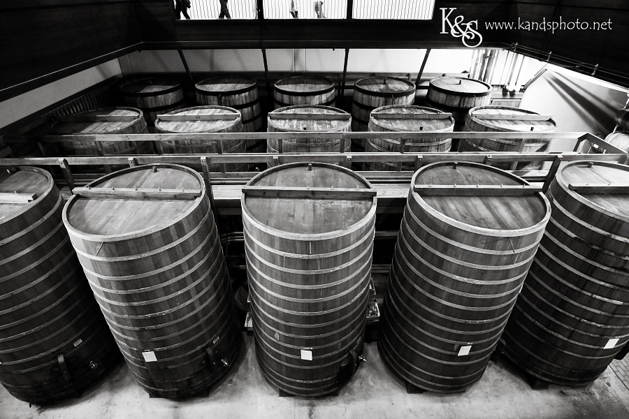 Dallas Wedding Photographers - K & S Photography Wine Tasting in Napa Valley California | Napa Valley and Dallas Wedding Photographers